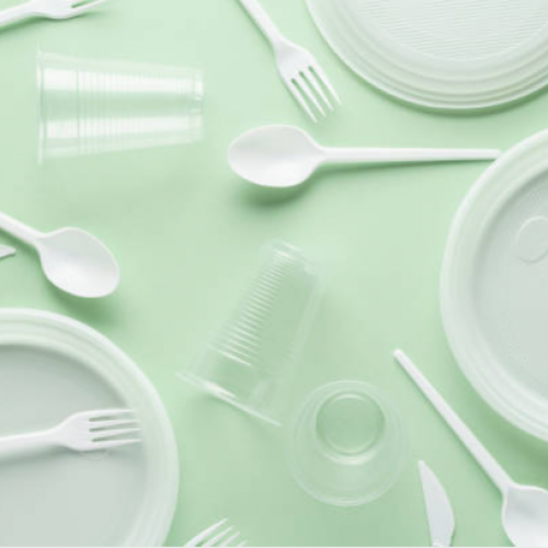 Disposable Tableware